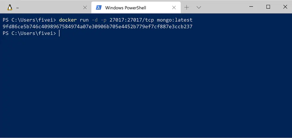 docker run mongo command