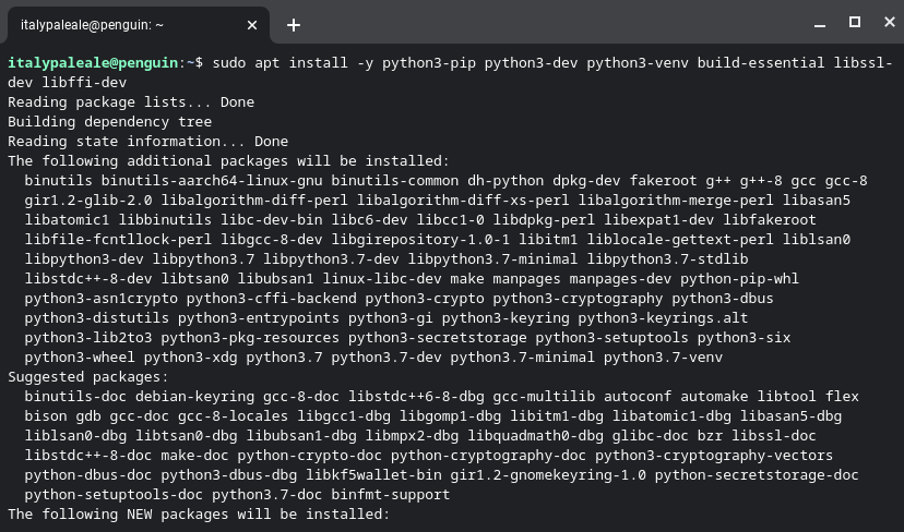 Installing Python dependencies