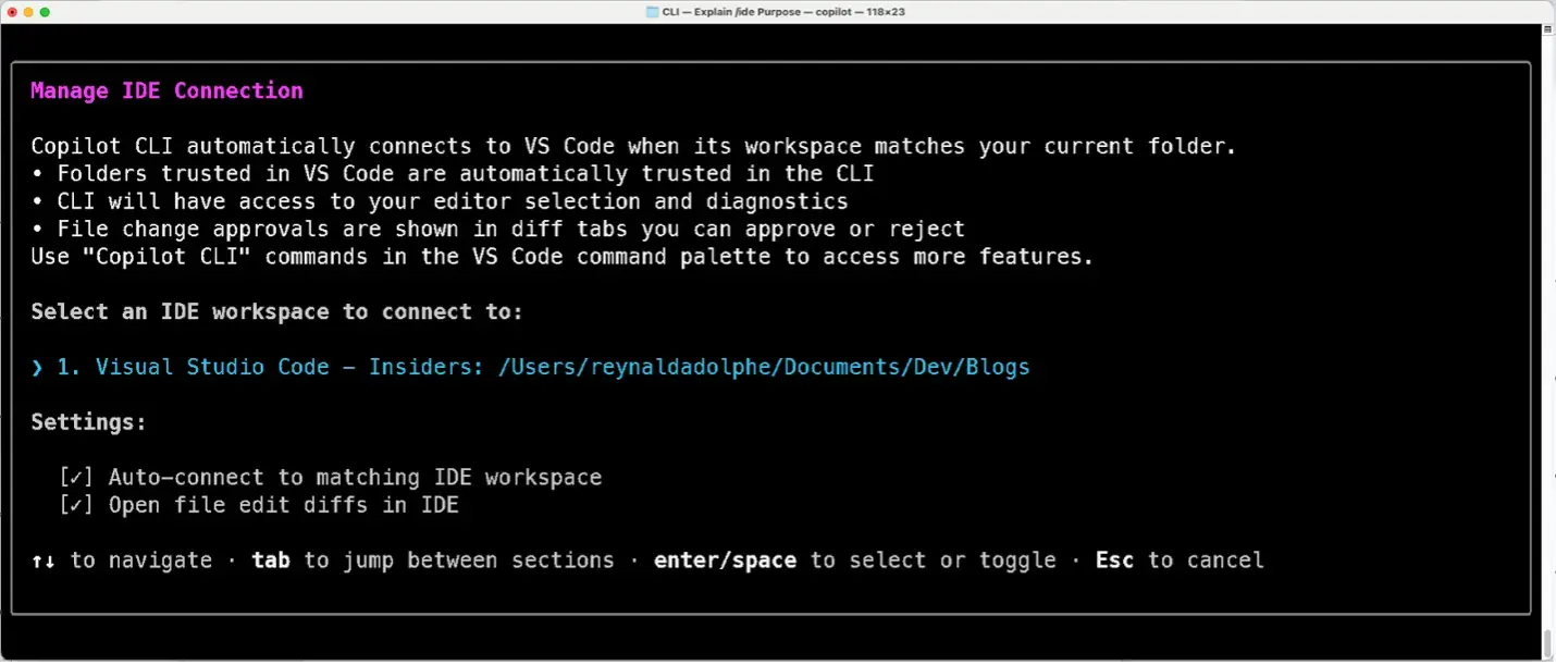 Screenshot of the Copilot CLI screen with VS Code auto‑connect settings and a selected workspace.