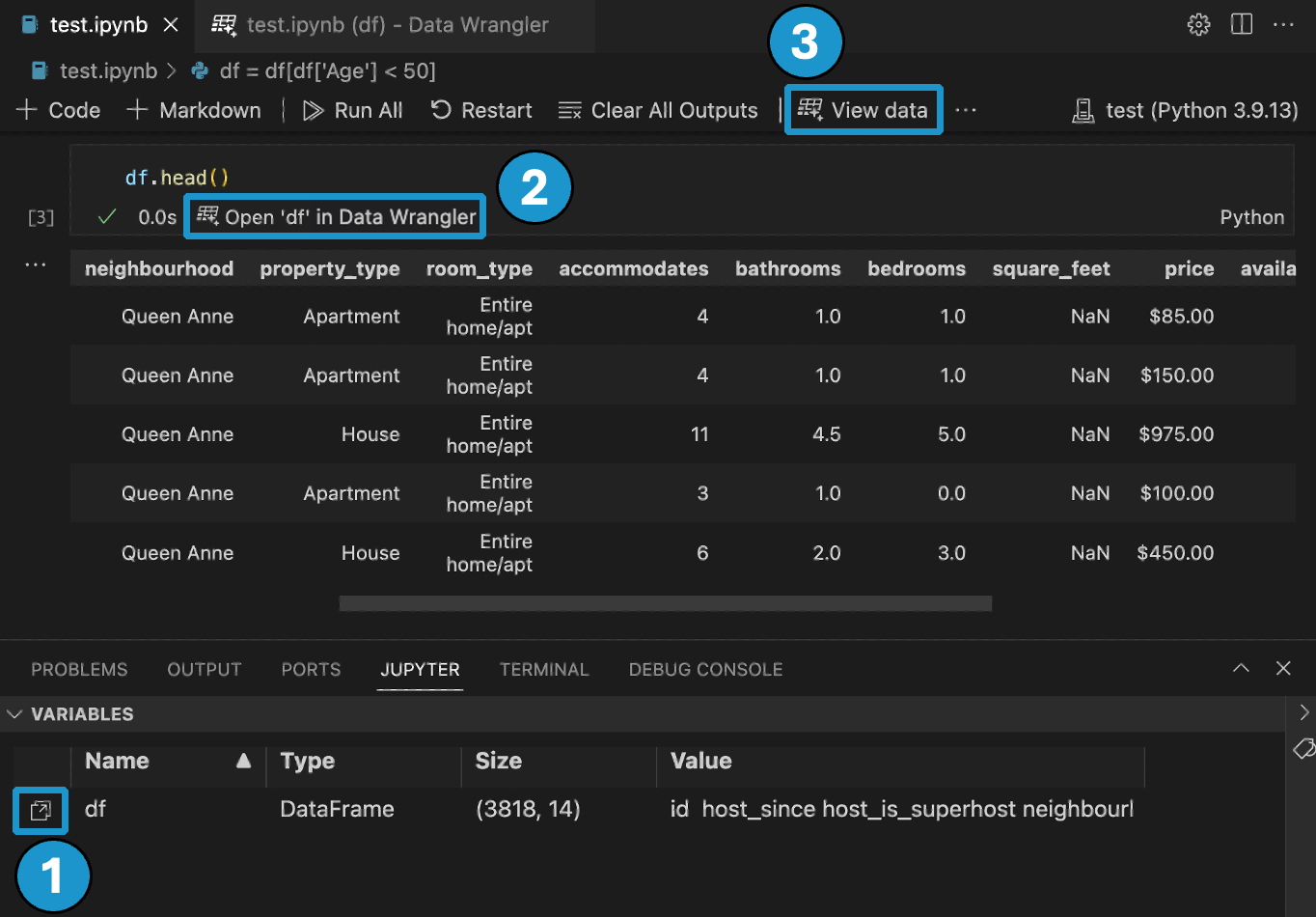 a screenshot showing the entry point into Data Wrangler from a notebook