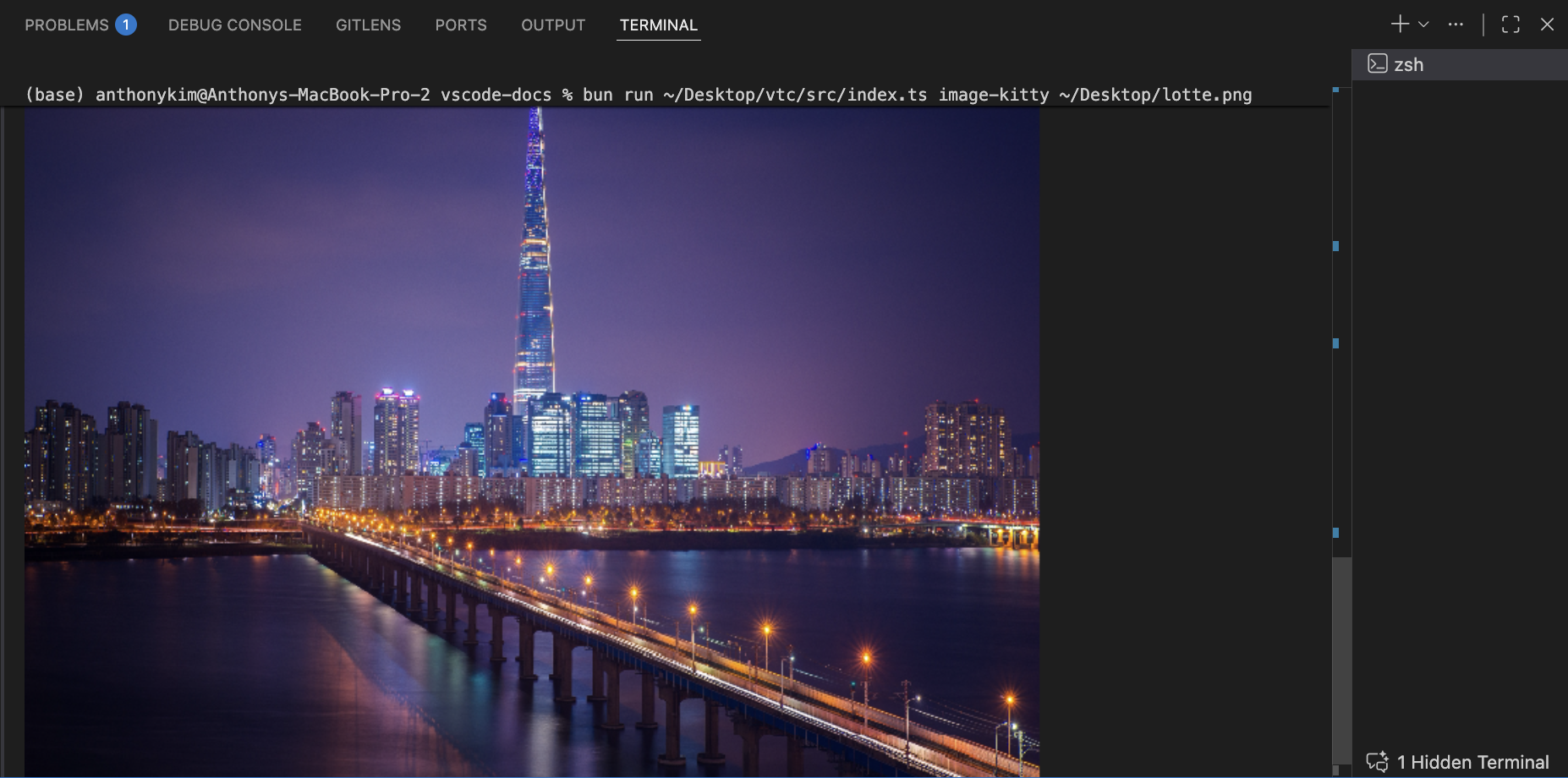 Screenshot showing an image rendered in the VS Code terminal using the Kitty graphics protocol.