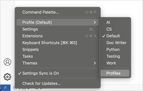 Settings menu showing the Profiles menu item to open the Profiles Editor.