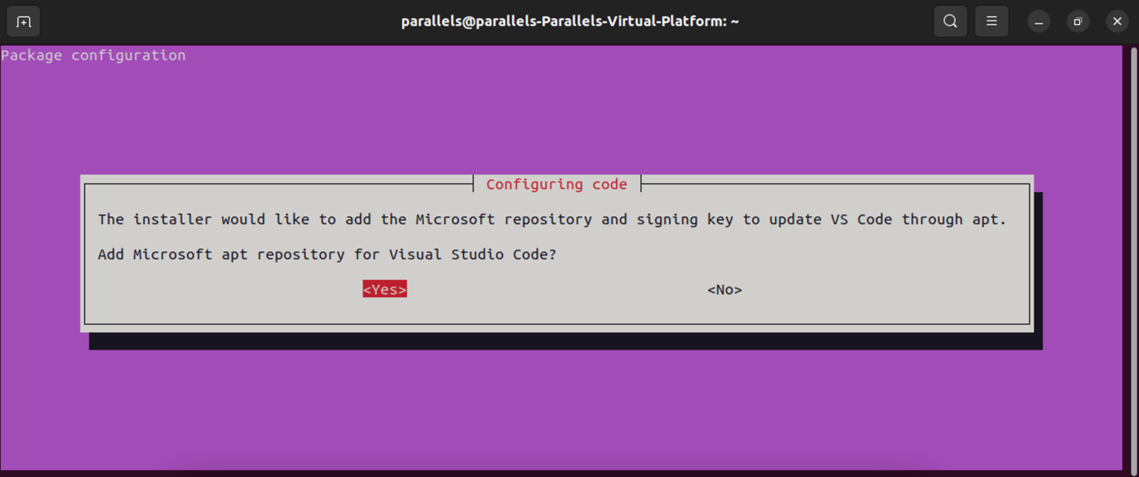 Terminal showing the prompt for adding the Microsoft packages repo during the install.